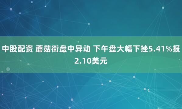 中股配资 蘑菇街盘中异动 下午盘大幅下挫5.41%报2.10美元