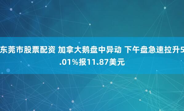 东莞市股票配资 加拿大鹅盘中异动 下午盘急速拉升5.01%报11.87美元
